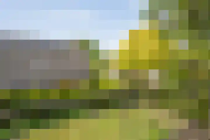 Schultambt 8 Meppel thumbnail 25