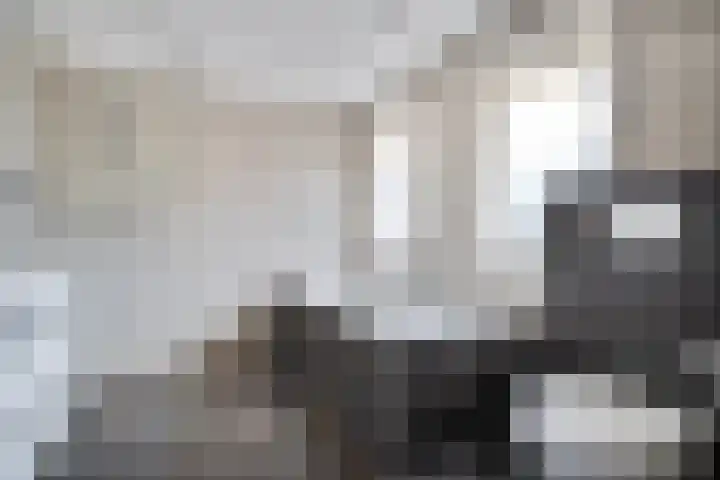 Schultambt 8 Meppel thumbnail 27
