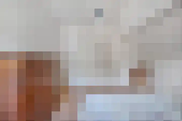 Schultambt 8 Meppel thumbnail 29