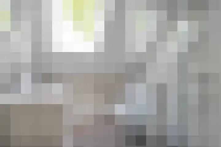 Schultambt 8 Meppel thumbnail 30