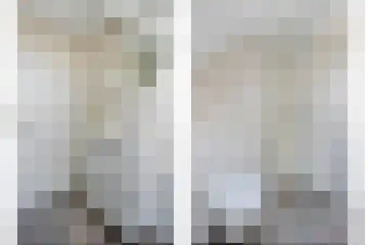 Schultambt 8 Meppel thumbnail 31