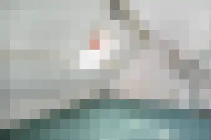 Schultambt 8 Meppel thumbnail 41