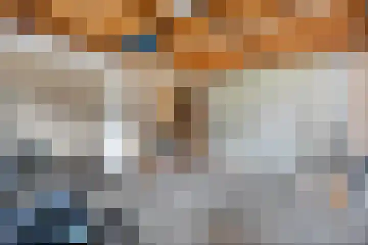 Schultambt 8 Meppel thumbnail 43
