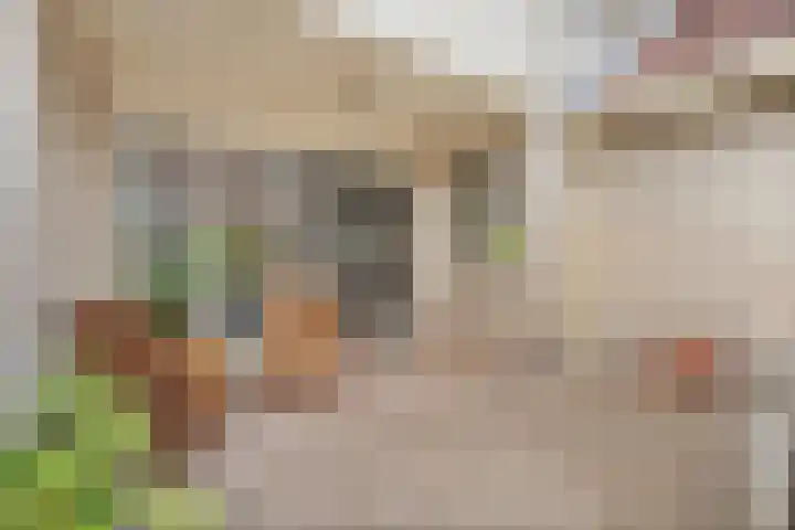 Schultambt 8 Meppel thumbnail 45