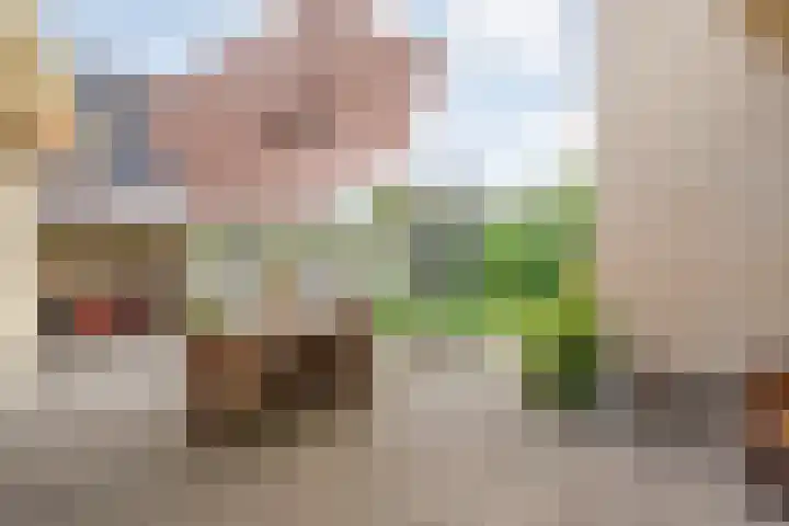 Schultambt 8 Meppel thumbnail 46