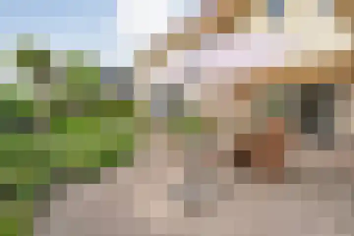 Schultambt 8 Meppel thumbnail 47