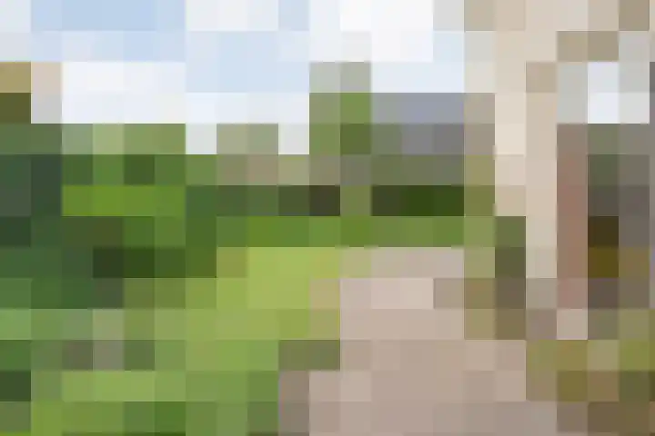 Schultambt 8 Meppel thumbnail 48