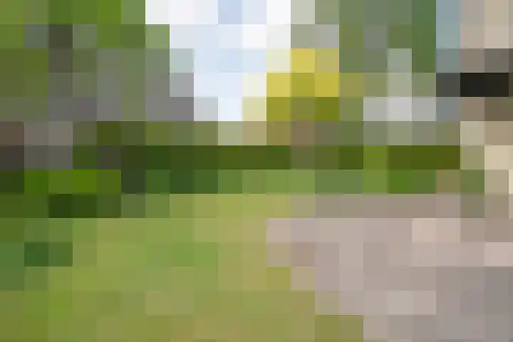 Schultambt 8 Meppel thumbnail 49
