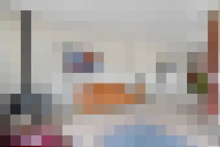 Schultambt 8 Meppel thumbnail 5