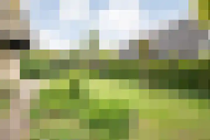 Schultambt 8 Meppel thumbnail 50