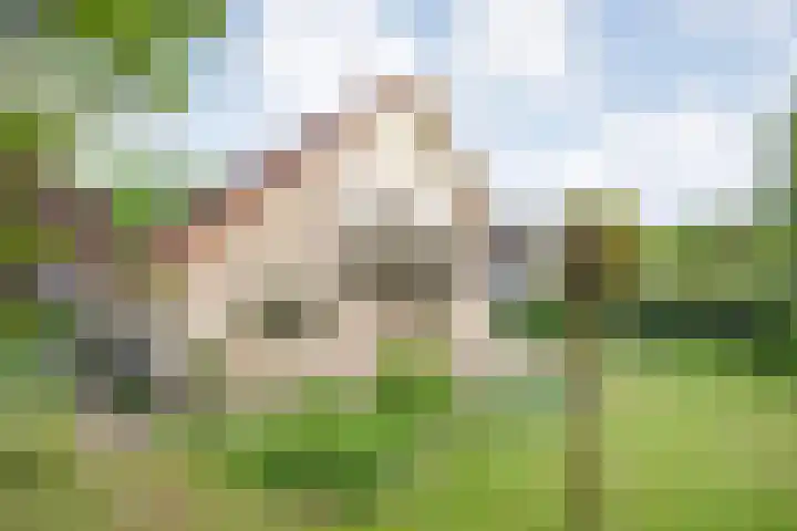 Schultambt 8 Meppel thumbnail 51