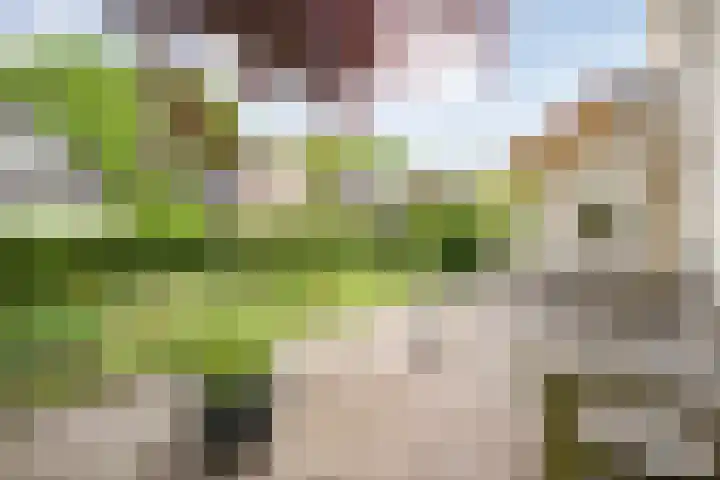 Schultambt 8 Meppel thumbnail 52