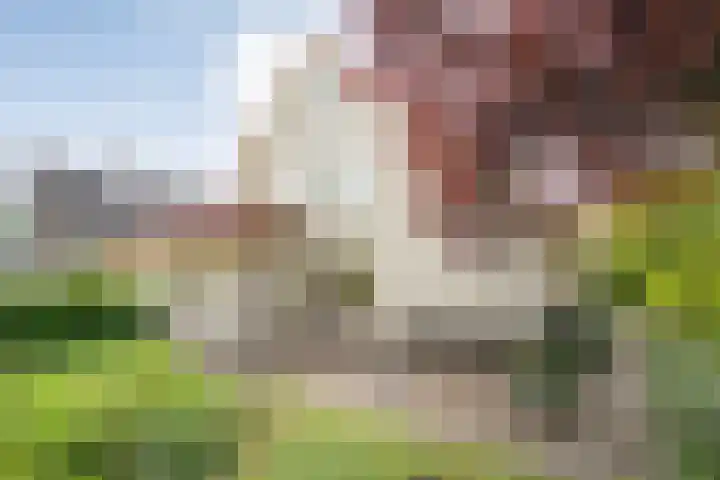 Schultambt 8 Meppel thumbnail 53