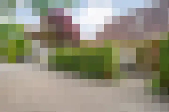 Schultambt 8 Meppel thumbnail 54