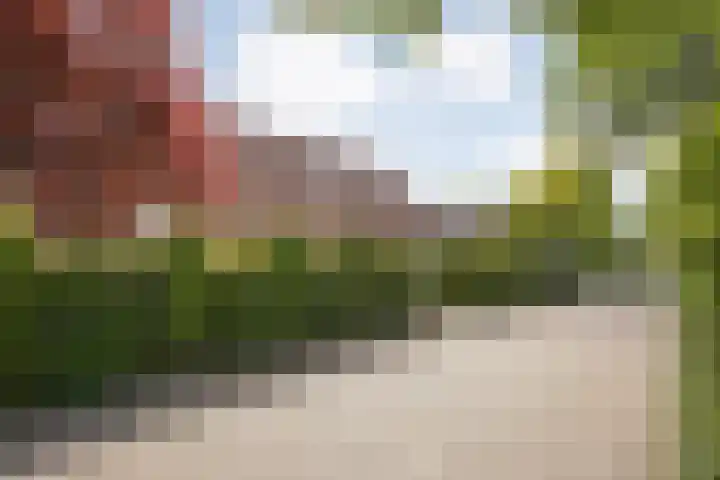 Schultambt 8 Meppel thumbnail 56