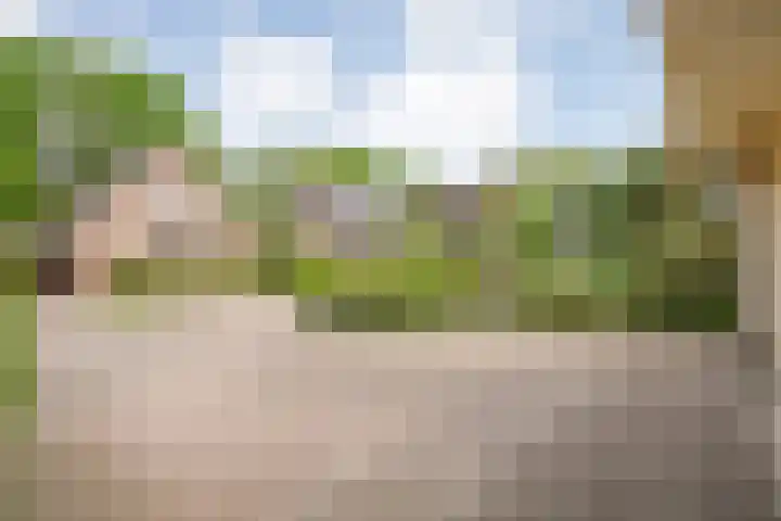 Schultambt 8 Meppel thumbnail 57