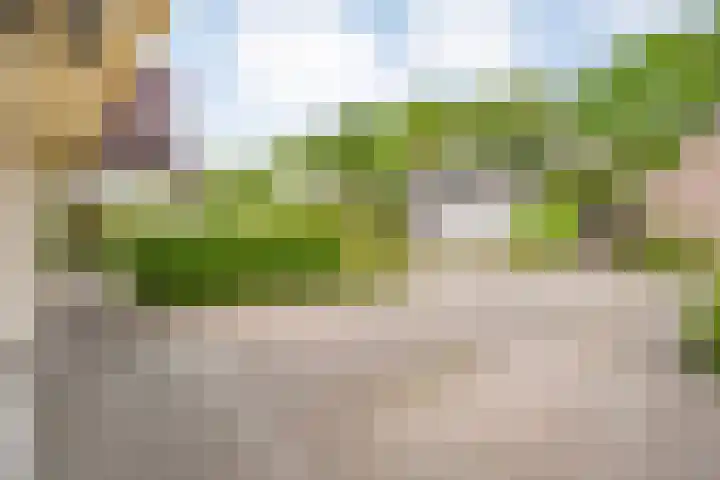 Schultambt 8 Meppel thumbnail 58