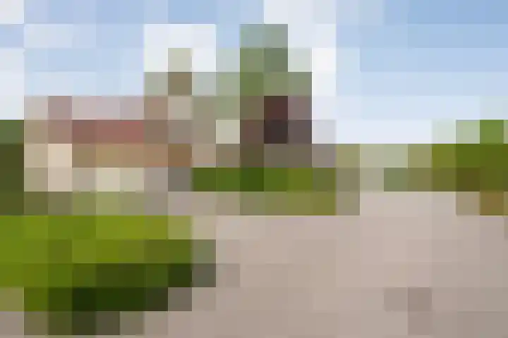 Schultambt 8 Meppel thumbnail 59