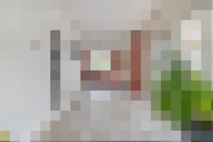 Schultambt 8 Meppel thumbnail 7