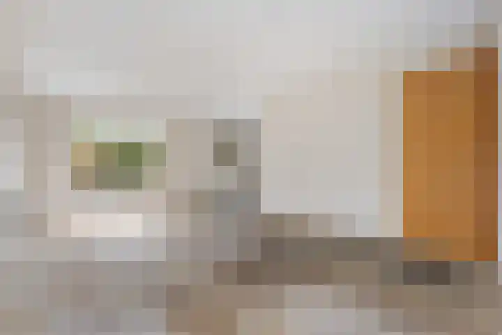 Schulte Alinghlaan 1 c Gasselte thumbnail 10