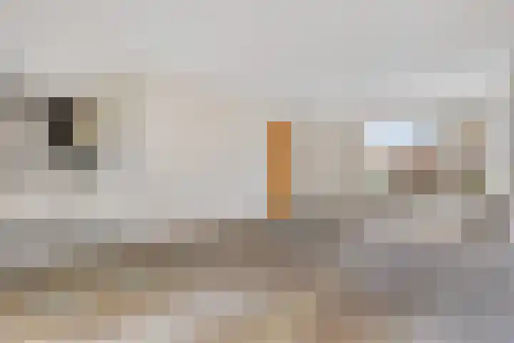Schulte Alinghlaan 1 c Gasselte thumbnail 11