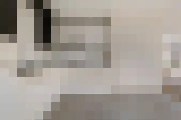 Schulte Alinghlaan 1 c Gasselte thumbnail 13