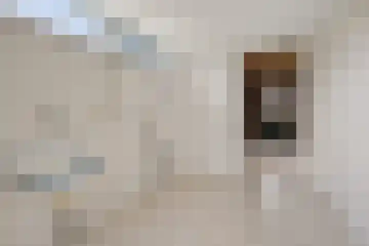 Schulte Alinghlaan 1 c Gasselte thumbnail 14