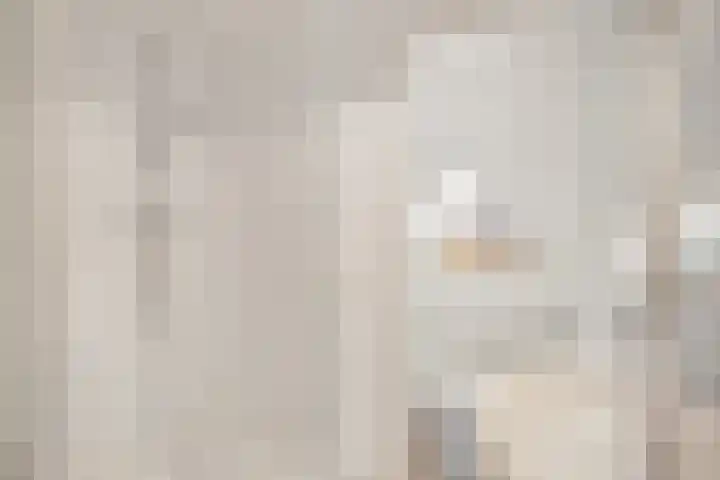Schulte Alinghlaan 1 c Gasselte thumbnail 19