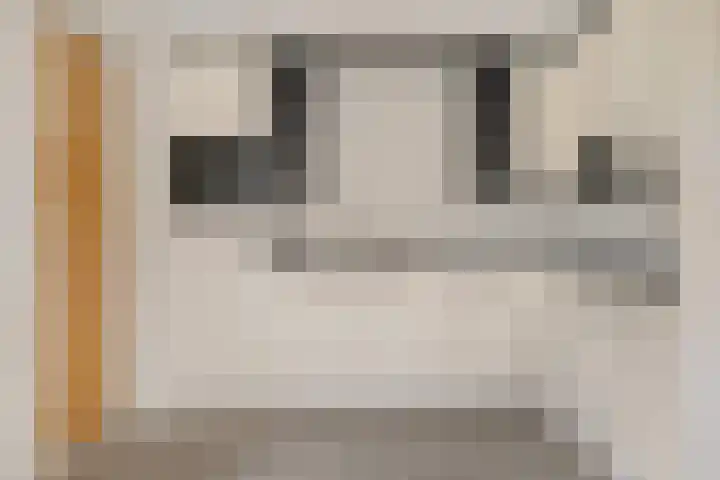 Schulte Alinghlaan 1 c Gasselte foto 2