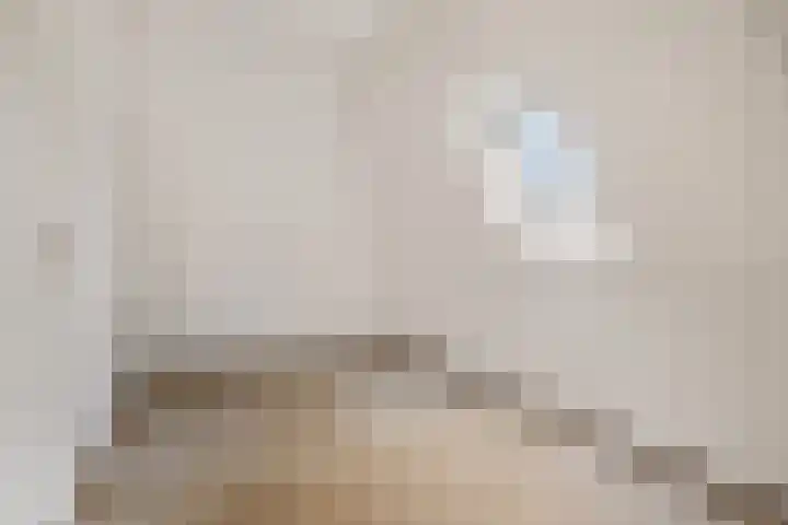 Schulte Alinghlaan 1 c Gasselte thumbnail 21