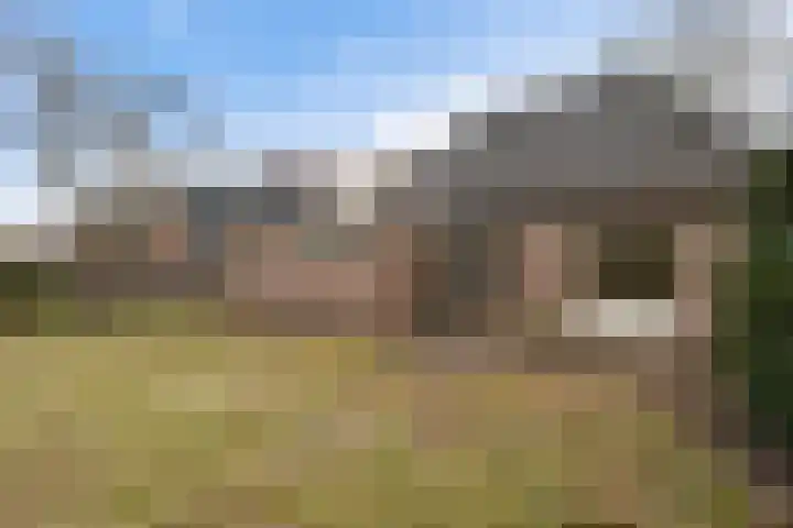 Schulte Alinghlaan 1 c Gasselte thumbnail 23