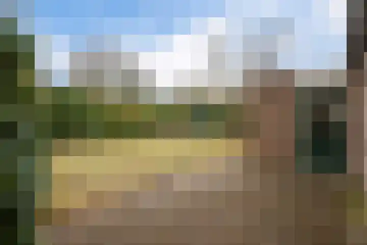 Schulte Alinghlaan 1 c Gasselte thumbnail 24