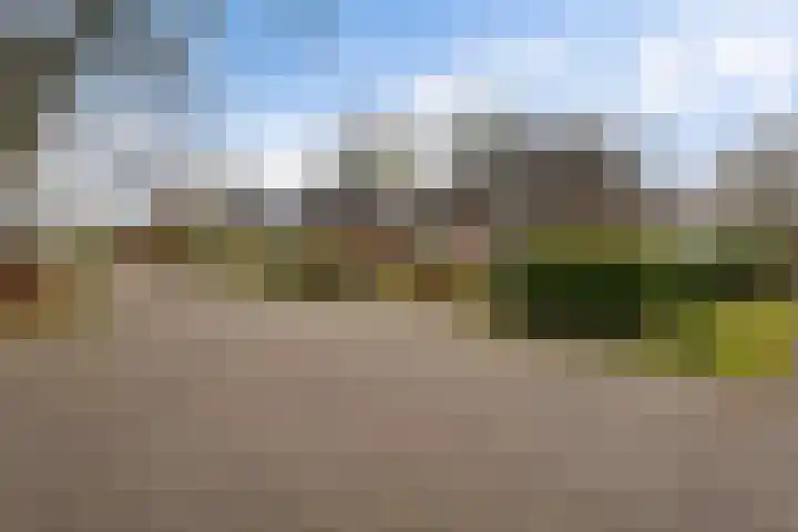 Schulte Alinghlaan 1 c Gasselte thumbnail 25