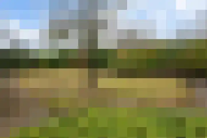 Schulte Alinghlaan 1 c Gasselte foto 3