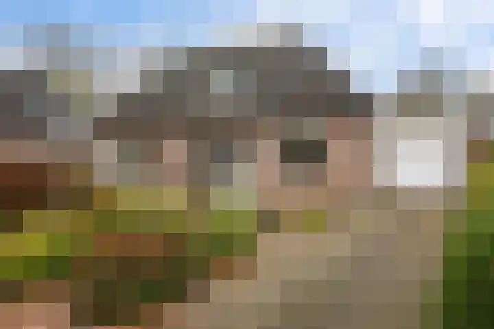 Schulte Alinghlaan 1 c Gasselte thumbnail 4