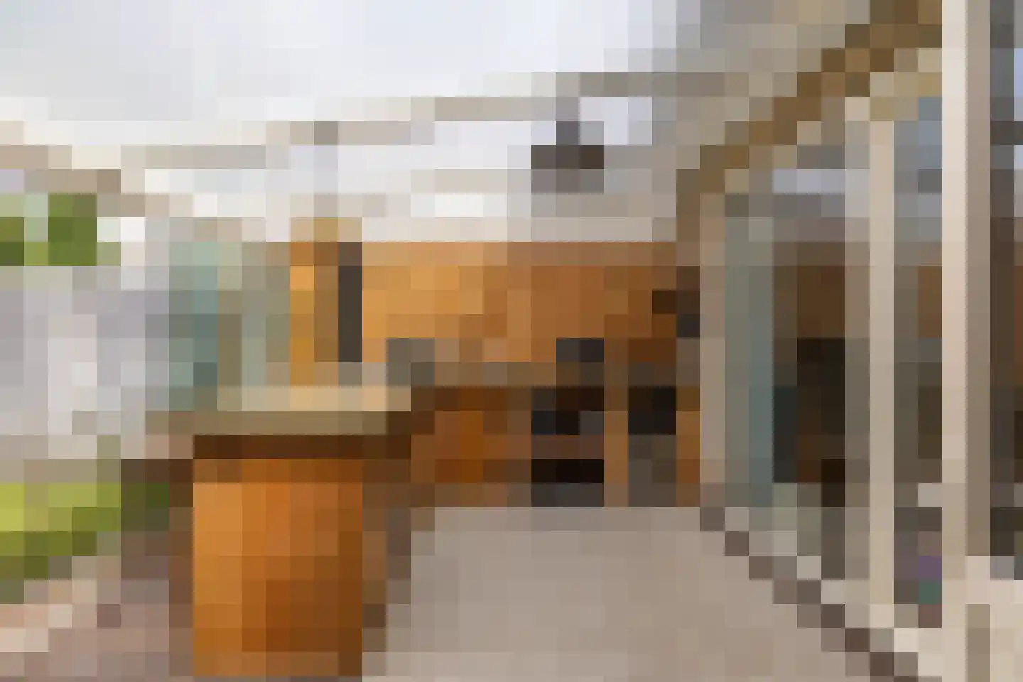 Schulte Alinghlaan 11 Gasselte thumbnail 16