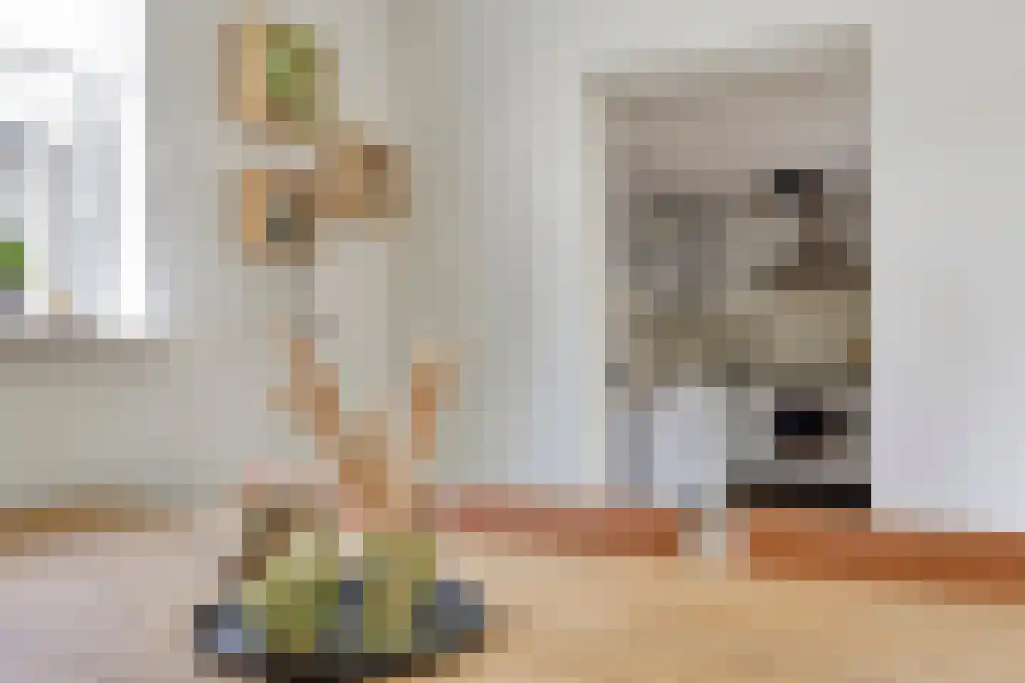 Schulte Alinghlaan 11 Gasselte thumbnail 20