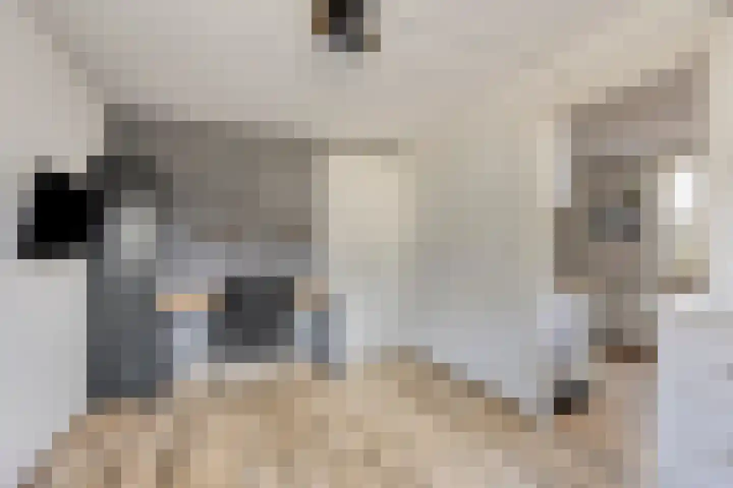 Schulte Alinghlaan 11 Gasselte thumbnail 25