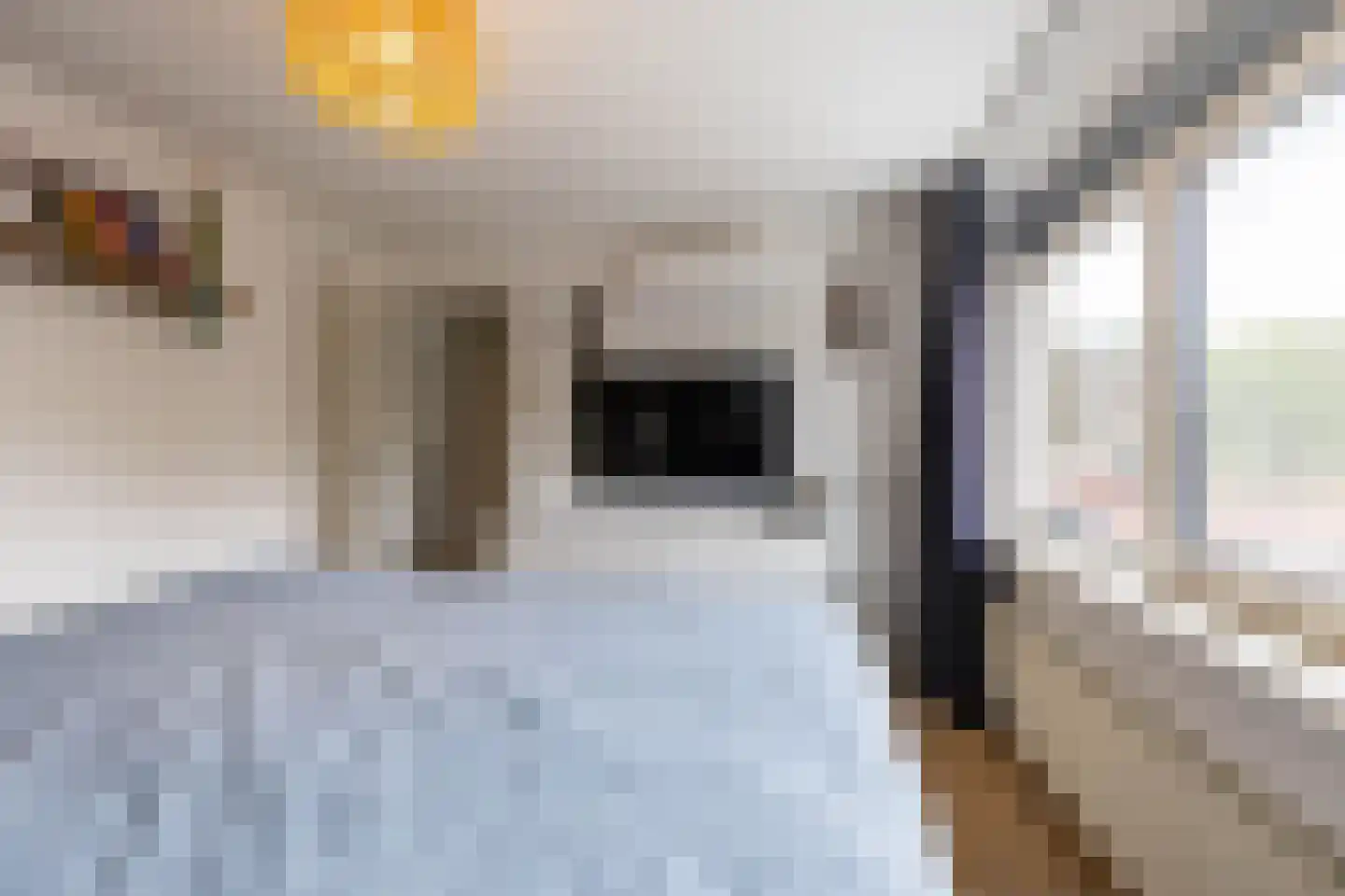 Schulte Alinghlaan 11 Gasselte thumbnail 31