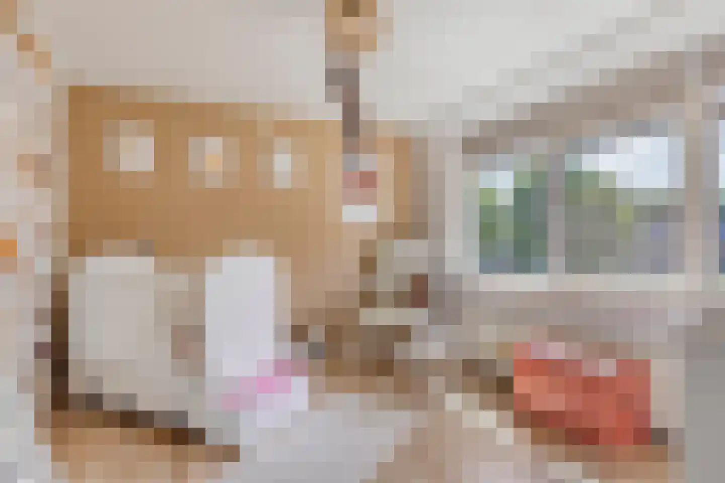 Schulte Alinghlaan 11 Gasselte thumbnail 32