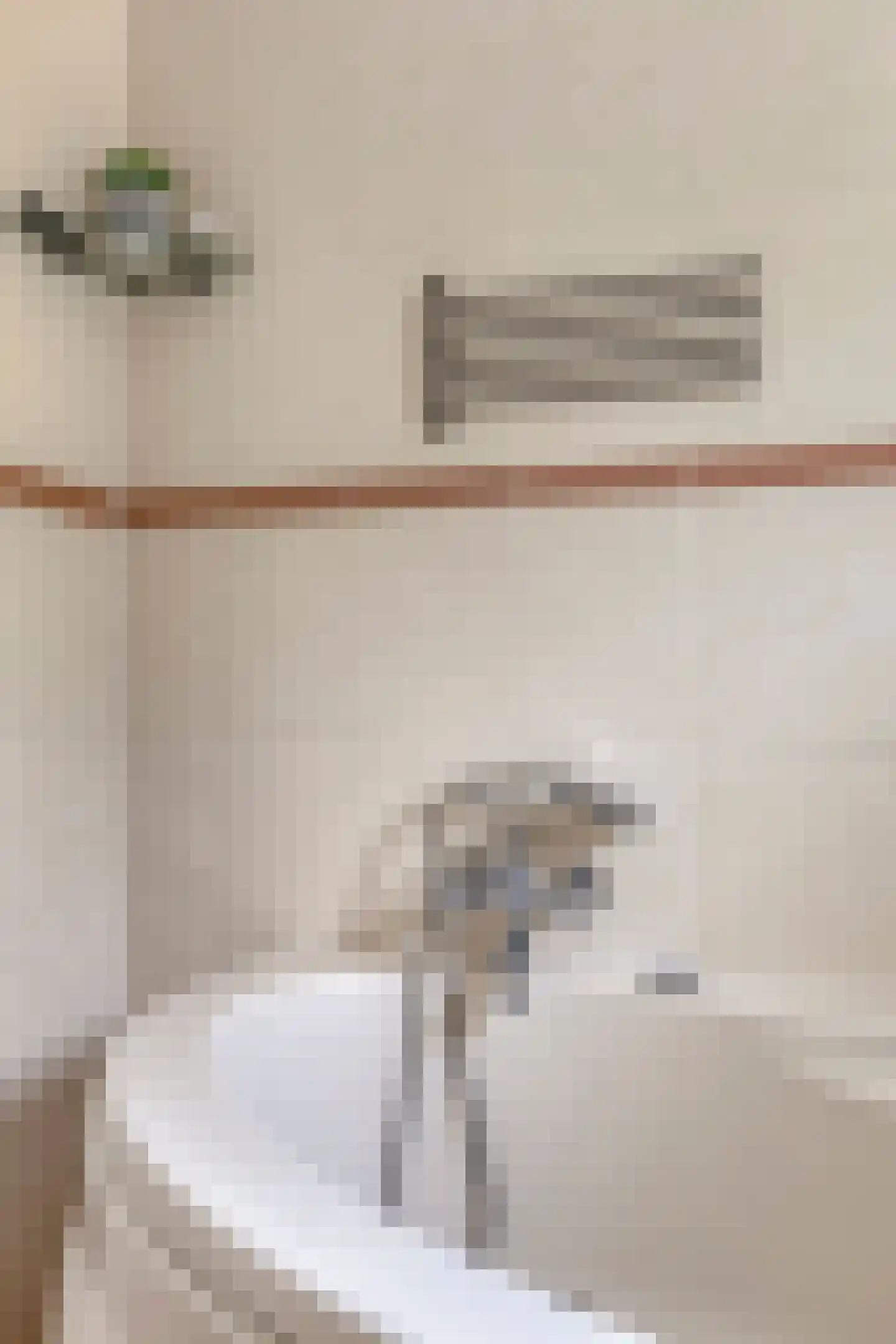 Schulte Alinghlaan 11 Gasselte thumbnail 38