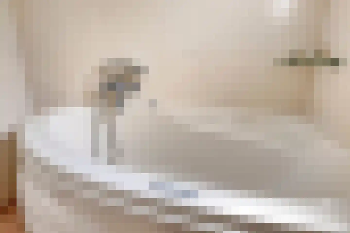 Schulte Alinghlaan 11 Gasselte thumbnail 39