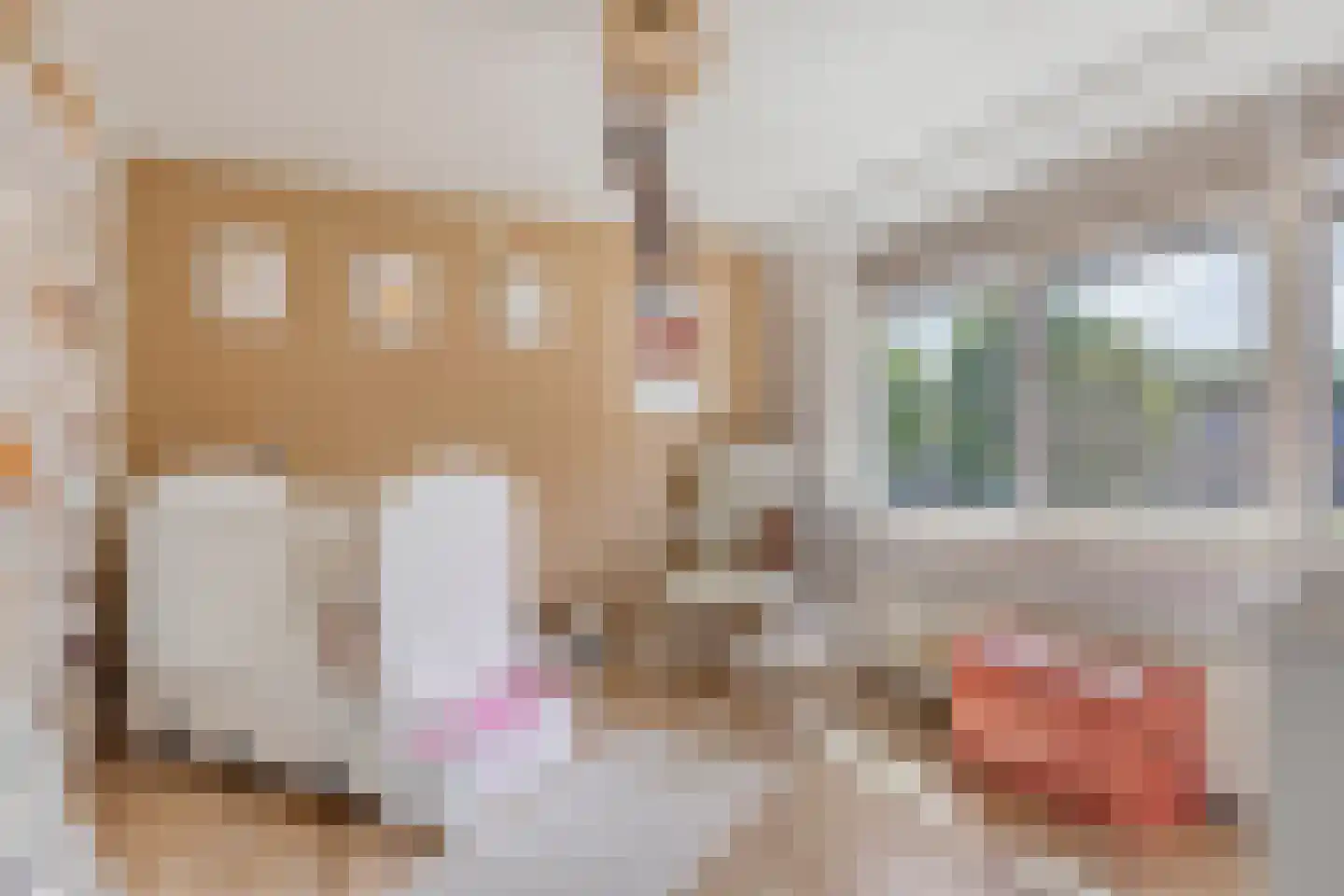 Schulte Alinghlaan 11 Gasselte thumbnail 4
