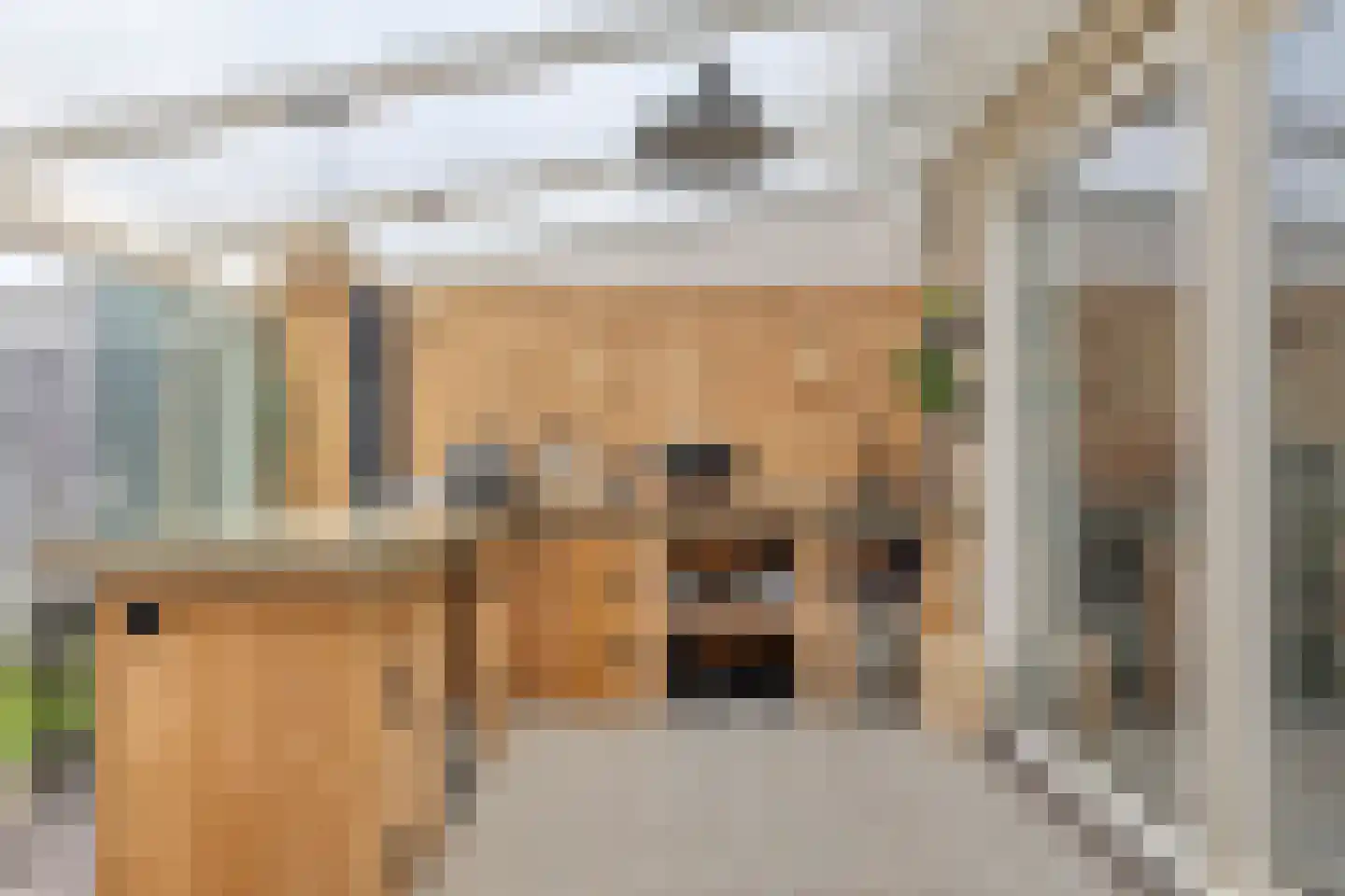 Schulte Alinghlaan 11 Gasselte thumbnail 5