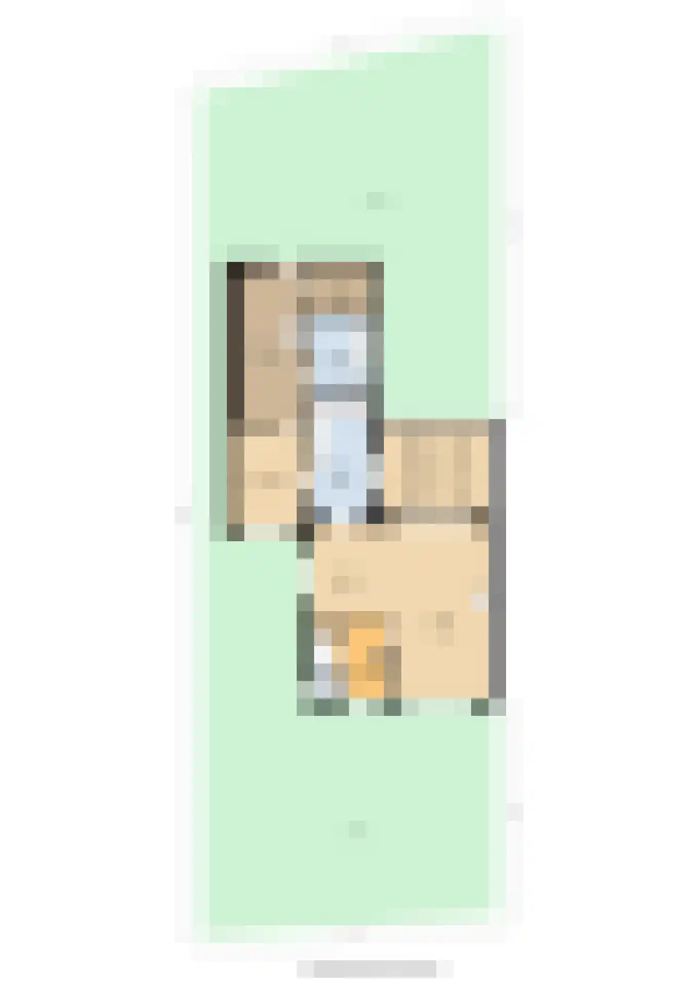 Schulte Alinghlaan 11 Gasselte thumbnail 52