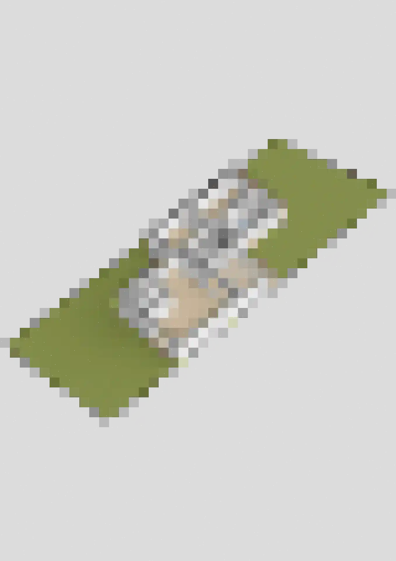 Schulte Alinghlaan 11 Gasselte thumbnail 53