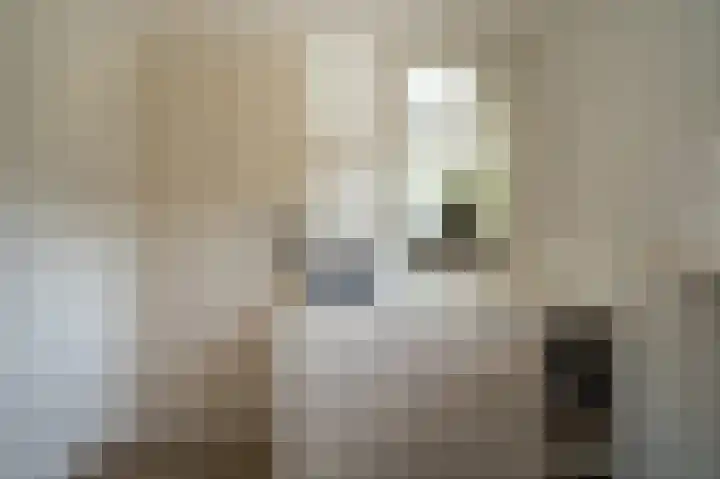 Schulte Alinghlaan 12 Gasselte thumbnail 10