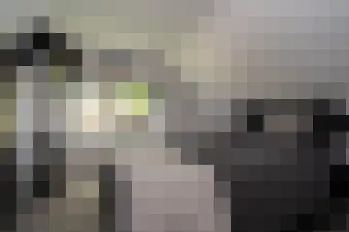Schulte Alinghlaan 12 Gasselte thumbnail 22