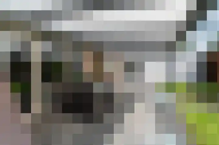 Schulte Alinghlaan 12 Gasselte thumbnail 30