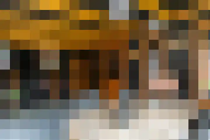 Schulte Alinghlaan 12 Gasselte thumbnail 31